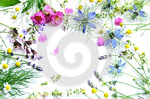 Herbal flowers photo