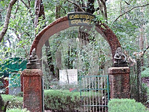 Herbal garden near Vazhachal Falls, Thrissur, Kerala