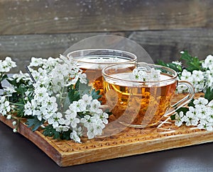 Herbal haw thorn tea from flower buds around blooming branches