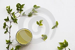 Herbal healthy drinks hot green tea ,milks