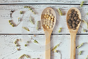 Herbal homeopathy natural pills or vitamins in wooden spoons and dry herbs on white wooden vintage background.