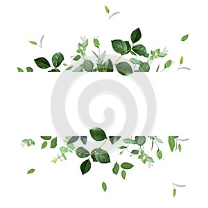 Herbal horizontal vector frame. Hand painted plants