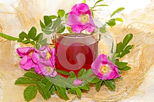 Herbal infusion of Rosa canina plant