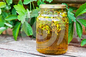 Herbal infusion St. John`s wort