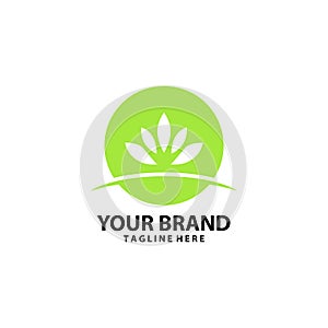 herbal leaves health logo design vector