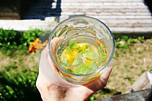 Herbal Lemon Drink, Orange, Citrus, Mint. Healthy Garden Natural Beverage. Herbalism, Wellness, Beauty Care, Detox, Inmune.