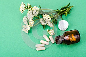 Herbal medical capsules, pills from medicinal plants on green background