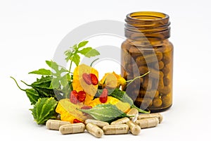 Herbal Medicine photo