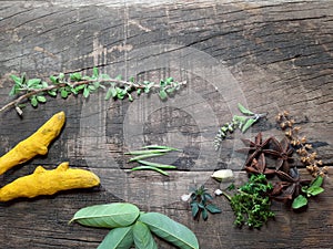 Herbal medicine alternative healthy care on Tree wooden background