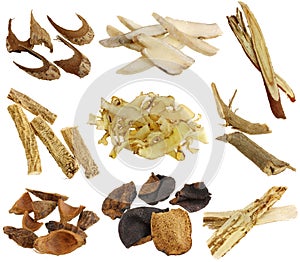Herbal medicine : Assortment of Dried Chinese herb