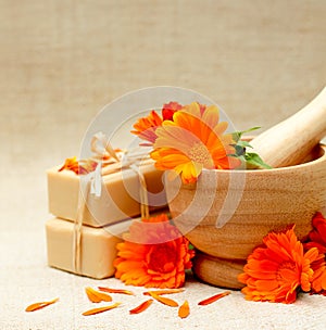 Herbal medicine background