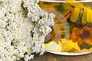 Herbal Medicine, Background, Yarrow and Calendula Oil