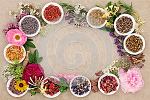 Herbal Medicine Border