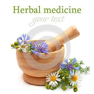 Herbal medicine - camomile, cornflowers