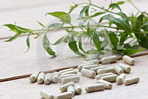Herbal medicine capsule