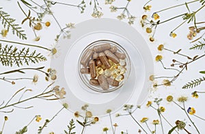 Herbal supplements and dried medicinal herbs, top view, flat lay