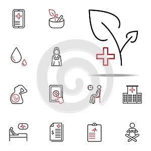 Herbal medicine colored line icon. Medical icons universal set for web and mobile