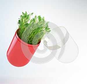 Herbal medicine concept