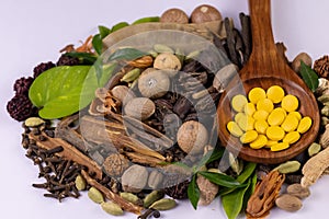 Herbal medicine concept. Angled macro shot of Ayurvedic pills in wooden spoon, assorted spices and green leaves on white