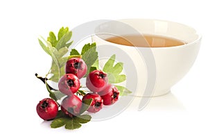 Herbal medicine: Crataegus tea in cup