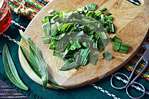 Herbal medicine.Cutting up fresh ribwort plantain leaves Plantago lanceolata , to prepare herbal syrup agains