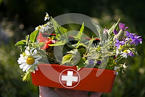 Herbal Medicine in a first aid box - HOMEOPATHY