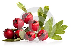 Kräuter- Weißdorn Beeren 