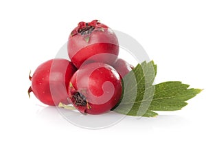 Herbal medicine: Hawthorn img