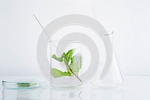 herbal medicine natural organic and scientific glassware