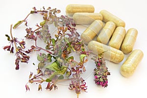 Herbal medicine pills with dry natural herbs on white background. Concept of herbal medicine and dietary supplements