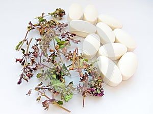 Herbal medicine pills with dry natural herbs on white background. Concept of herbal medicine and dietary supplements, biologically