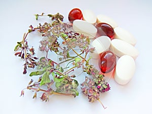 Herbal medicine pills with dry natural herbs on white background. Concept of herbal medicine and dietary supplements, biologically