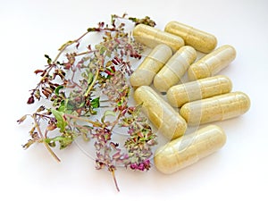 Herbal medicine pills with dry natural herbs on white background. Concept of herbal medicine and dietary supplements, biologically