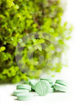 Herbal medicine pills with green plant