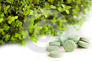 Herbal medicine pills with green plant