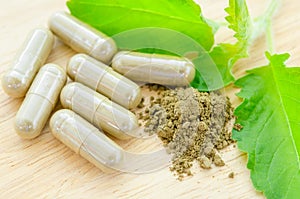 herbal medicine powder and capsules with green organic herb leaves.