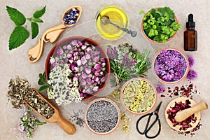 Herbal Medicine Preparation photo