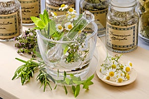 Herbal Medicine. photo