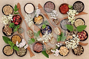 Herbal Medicine Selection