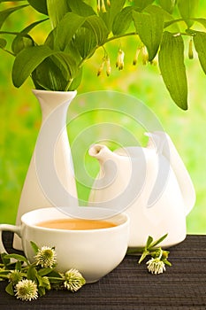 Herbal medicine, tea with clower flower