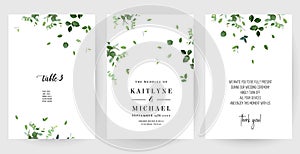 Herbal minimalist vector banners. Hand painted plants, branches, leaves on a white backgrounds. Greenery wedding simple