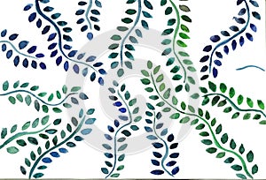 Herbal minimalistic. Hand painted plants, branches, leaves on white background. Greenery wedding invitation. Watercolor style.