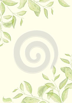 Herbal minimalistic vector frame. Hand painted branches on white background. Greenery wedding invitation. Watercolor