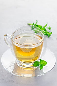 Herbal mint tea in a glass cup with fresh peppermint on background