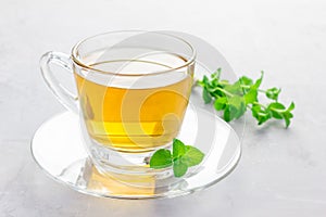 Herbal mint tea in glass cup with fresh peppermint on background, horizontal