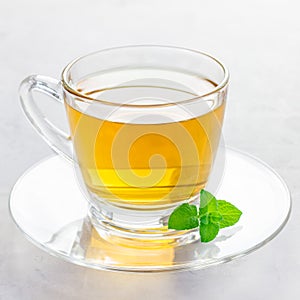 Herbal mint tea in a glass cup with fresh peppermint on background, square format