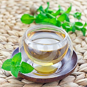 Herbal mint tea in oriental glass cup with fresh peppermint on background, square format