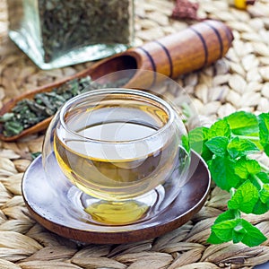 Herbal mint tea in oriental glass cup with fresh peppermint and tea scoop on background, square format