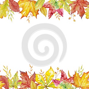 Herbal mix seamless vector frame. Watercolor painted plants, branches and leaves on white background