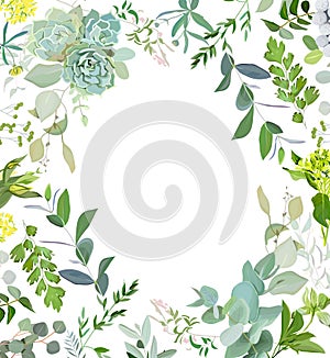 Bylinný zmiešať námestie vektor rámik. ruka namaľovaný rastliny, listy sukulenty a kvety na bielom 